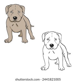 pitbull ilustración vectorial. Dibujo con estilo de arte lineal. Estilo de contorno de diseño simple. Fácil de editar