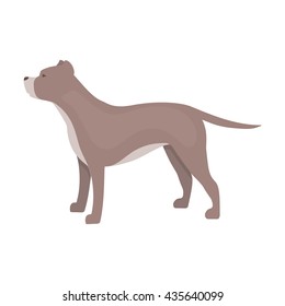 Pitbull vector illustration icon in cartoon design