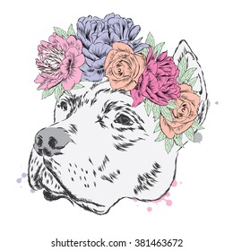 Pitbull In A Wreath Of Flowers. Dog Vector.