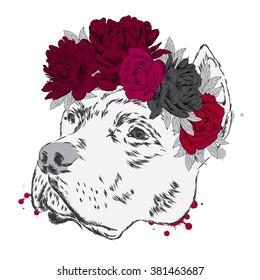 Pitbull in a wreath of flowers. Dog vector.