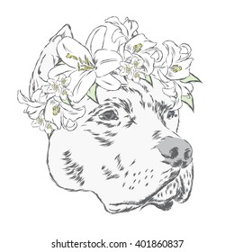 Pitbull in a wreath of flowers. Vector illustration. 