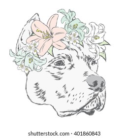 Pitbull in a wreath of flowers. Vector illustration. Print on clothes, postcard or poster.