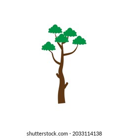 Pitch pine tree icon design template illustration
