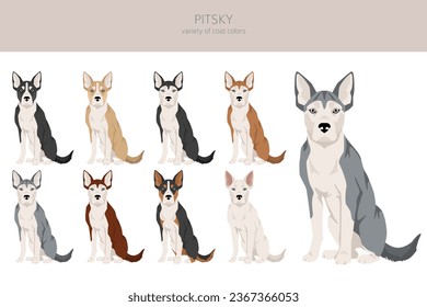 Pitsky clipart. Pit bull terrier Siberian Husky mix. Different coat colors set.  Vector illustration