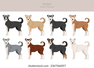 Pitsky clipart. Pit bull terrier Siberian Husky mix. Different coat colors set.  Vector illustration