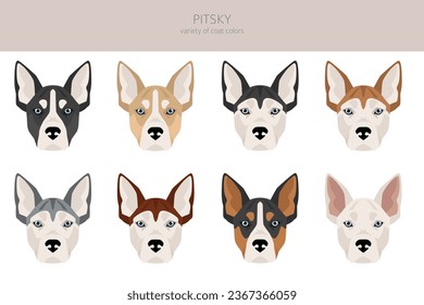 Pitsky clipart. Pit bull terrier Siberian Husky mix. Different coat colors set.  Vector illustration