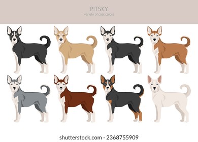 Pitsky clipart. Pit bull terrier Siberian Husky mix. Different coat colors set.  Vector illustration