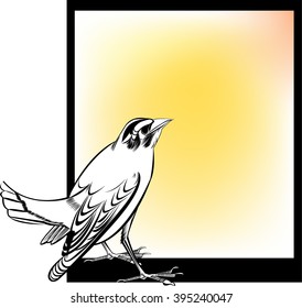 Pitta bird,
Pitta bird,All elements are in separate layers color can be changed easily.     