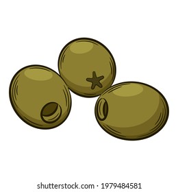 Aceitunas de paja. Verdura lineal, dibujada a mano. ingrediente alimentario, elemento de diseño.Ilustración vectorial de color con contorno. Aislado sobre un fondo blanco.