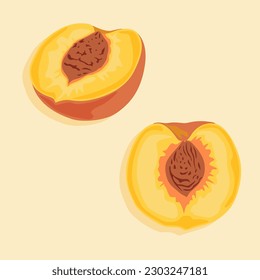 Pitted peach slices cut in half. Vector food icons. Summer fruits.