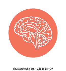 Pituitary color line icon. Endocrine system. Pictogram for web page, mobile app, promo.