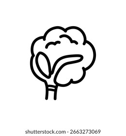 Visão lateral do tumor hipofisário para saúde cerebral e diagnóstico médico