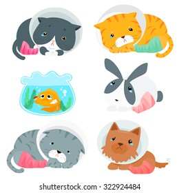 pity pet splinting cartoon vector set