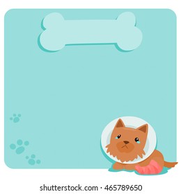 Pity terrier dog at empty board vector illustration