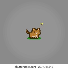 Pixel 8 bit orange cat. Animals for game assets in vector illustration.
