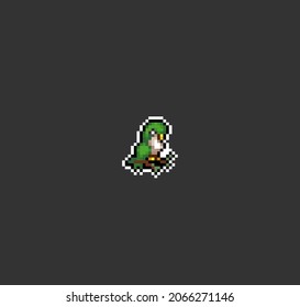 Pixel 8 Bit Parrot. Pixel animal game assets in vector illustrations.