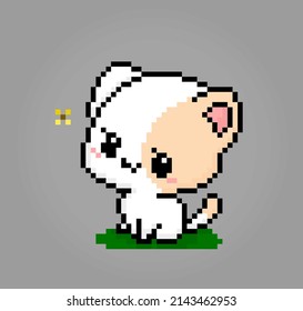 Pixel 8 bits cute cat see a butterflies. Animals for game assets in vector illustrations.