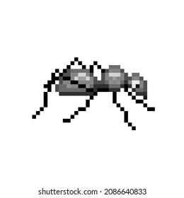 Pixel ant, vector illustration, insect