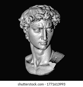 Pixel art 3D rendering of Michelangelo's David head.