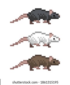 Pixel art 8-bit rat character walking set black, white, brown - editable isolated vector illustration