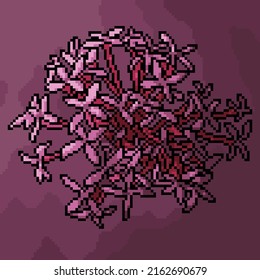 pixel art of artistic blooming flower ixora