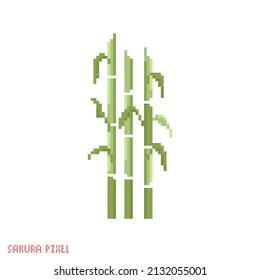 Pixel art bamboo icon. Vector 8 bit style illustration of young bamboo stalks. set of three bamboo stems with leaves decorative oriental elements of retro video game computer graphic.