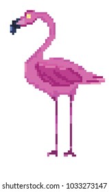 Pixel art bird Flamingo . Vector illustration