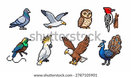 Pixel art of birds collection. Pixelated dove, seagull, owl, woodpecker, cenederawasih, eagle, cockatoo and peacock.