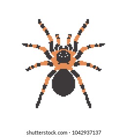 Pixel art black spider isolated.