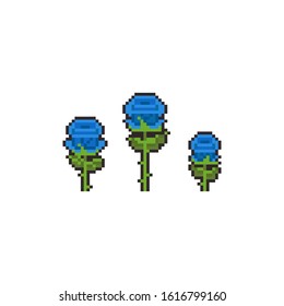Pixel art blue rose icon set.