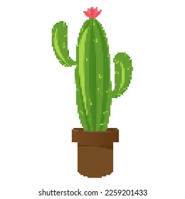pixel art cactus for computer game, vector graphic