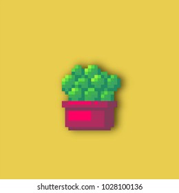 Pixel art cactus in a pot on yellow background. Vector illustration.