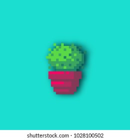 Pixel art cactus in a pot on blue background. Vector illustration.
