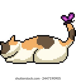 imagen de fondo aislado de gato y mariposa