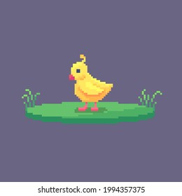 Pixel art chick. Farm animal for game design. Cute vector illustration.