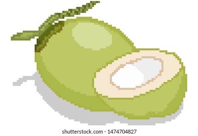Pixel art Coconut and half Coconut on white background vector illustration