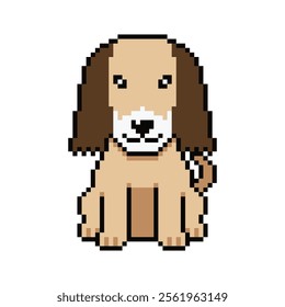 Pixel art cute afghan hound dog vector in retro style for design.