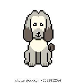 Pixel art cute afghan hound dog vector in retro style for design.