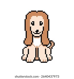 Pixel art cute afghan hound dog vector in retro style for design.