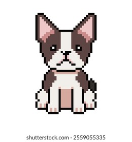 Pixel art cute boston terrier dog vector in retro style for design.