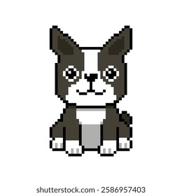 Pixel art cute boston terrier dog vector in retro style for design.