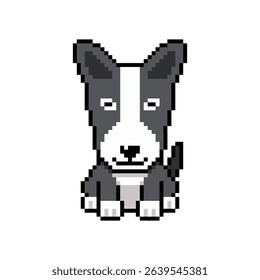 Pixel art cute bull terrier dog vector in retro style for design.