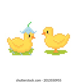 pixel art of cute chick with flower hat