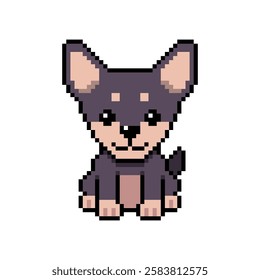 Pixel art cute chihuahua dog vector in retro style for design.