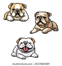pixel art of dog pet friend isolated background