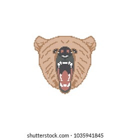 Pixel art. The face of a bear. Vector illustration on white background. Logo of the fierce grizzly.