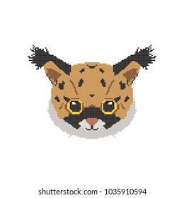 Pixel art. The face of Lynx. Vector illustration on white background.