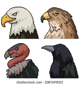 pixel art of falcon bird head