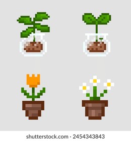 Pixel art flower in a pot, Vector pixel plant in transparent jar