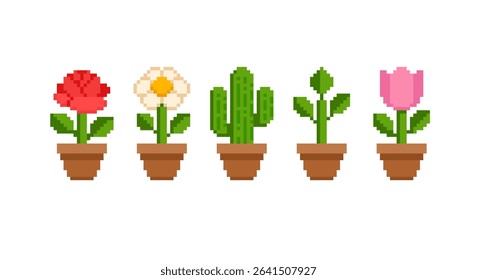 Pixel Art flores e plantas coleção em gráficos retro de 8 bits. Pixel Art Flor flor e Indoor envasado planta conjunto 2 de: rosa, cacto, camomila e tulipa. Ilustração em pixels vetoriais